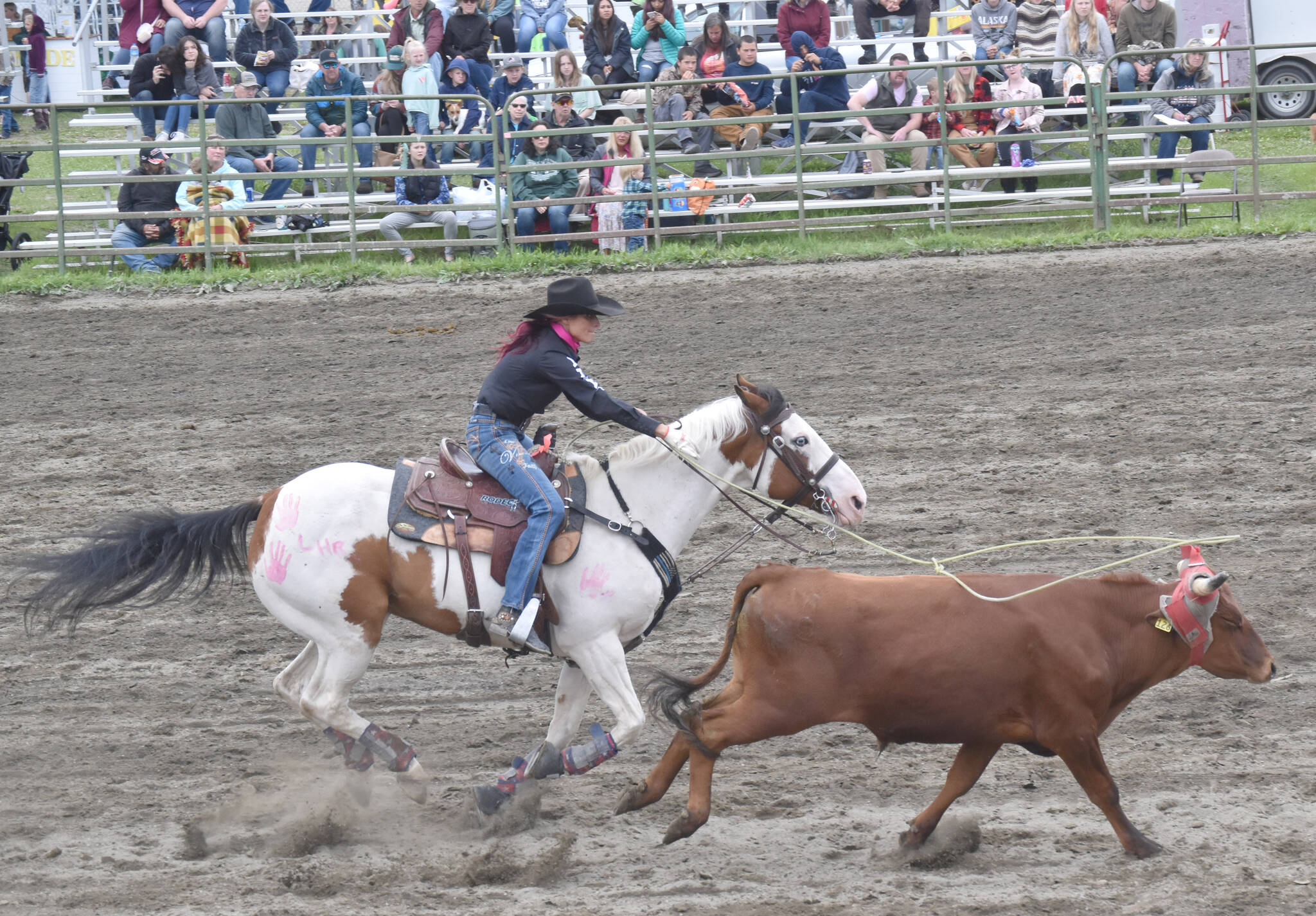 Corey Wilkinson competes in Breakaway Roping at the third Soldotna Equestrian Association rodeo of the season Sunday, July 28, 2024, at the Soldotna Rodeo Grounds in Soldotna, Alaska. (Photo by Jeff Helminiak/Peninsula Clarion)