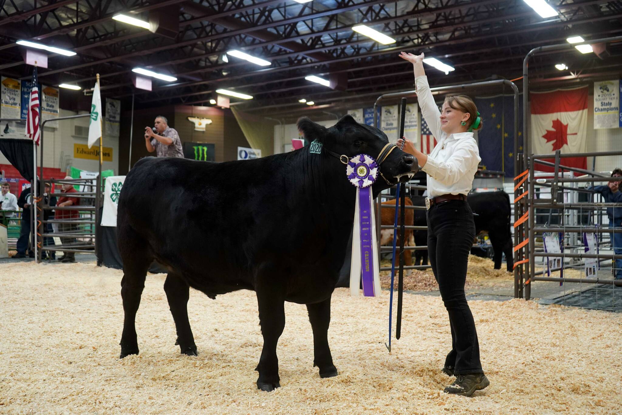 Melanie Carpenter shows her overall grand champion steer, Napoleon, for auction during the Kenai Peninsula District 4-H Agriculture Expo in the Soldotna Regional Sports Complex in Soldotna, Alaska, on Saturday, July 27, 2024. The winning bid came in over $10,000. (Jake Dye/Peninsula Clarion)