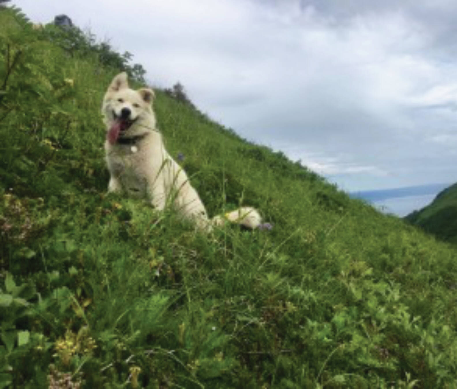 Celia is photographed during a break while climbers headed out of the bowl from Alpine Lake back up to the ridgeline on a return to Seldovia. (Photo provided by Drue Smith)