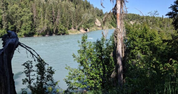 The Kasilof River is seen from the Kasilof River Recreation Area, July 30, 2019, in Kasilof, Alaska. (Photo by Erin Thompson/Peninsula Clarion)