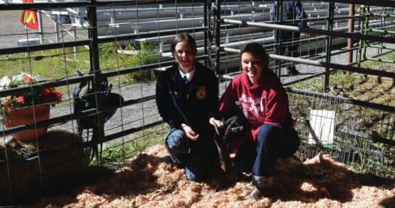 Morgan Carlson-Kelly and Jolie Webb, members of the Ninilchik FFA, pose at the petting zoo at the Ninilchik Fair on Aug. 9 in Ninilchik. Emilie Springer/ Homer News