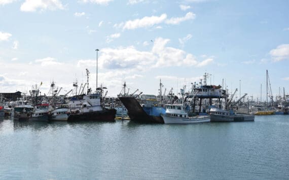 Homer Harbor on Saturday, May 20, 2023. (Emilie Springer/ Homer News)