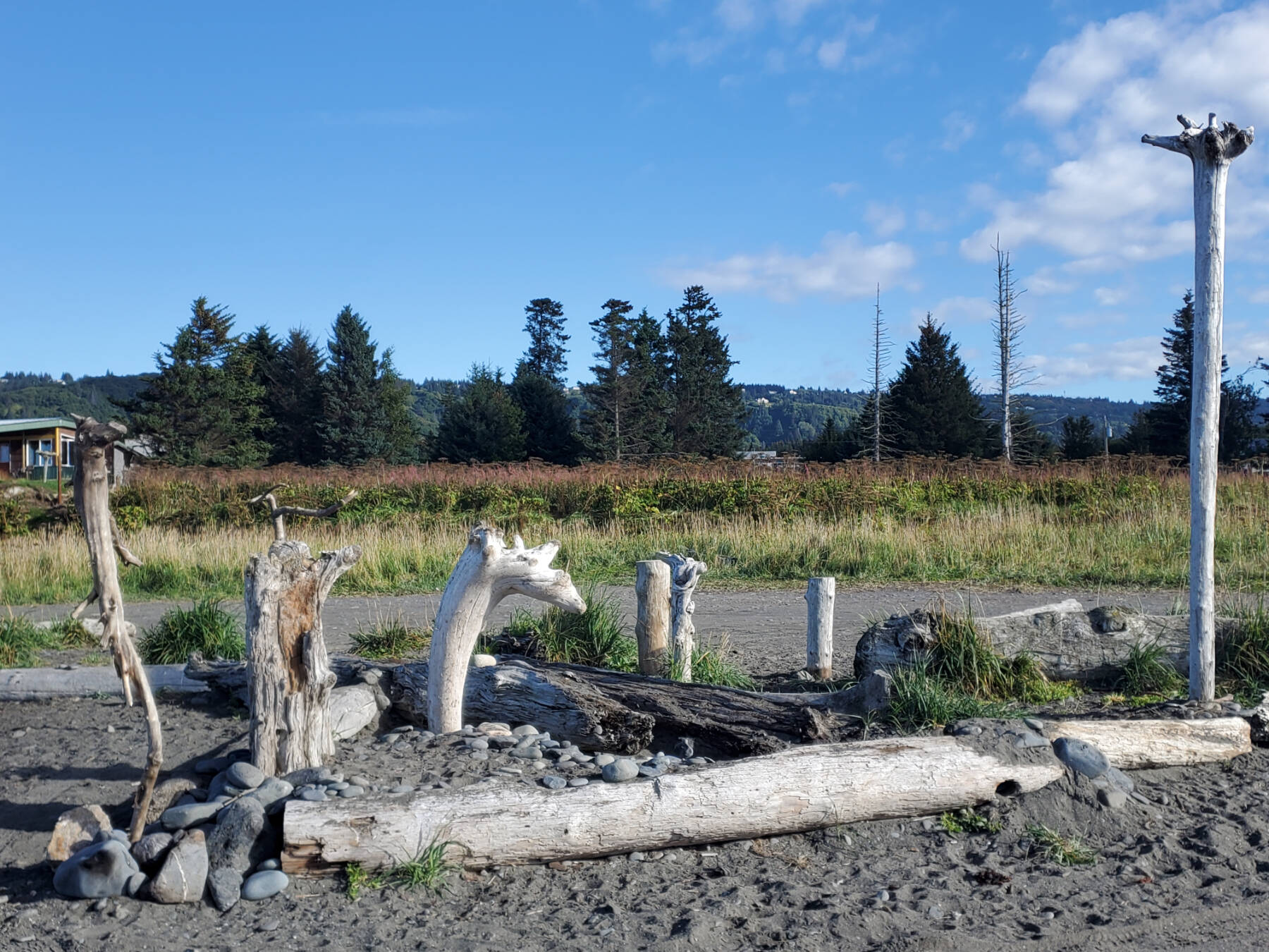 Driftwood stands upright in the sand at Bishop’s Beach on Tuesday, Sept. 3, 2024, in Homer, Alaska. (Delcenia Cosman/Homer News)