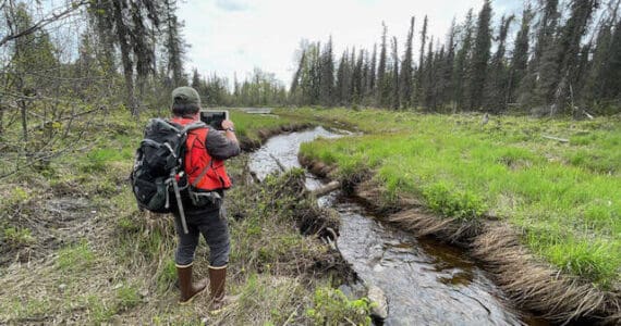 Wetlands are surveyed by the Kachemak Heritage Land Trust. (Photo provided by the Kachemak Heritage Land Trust)