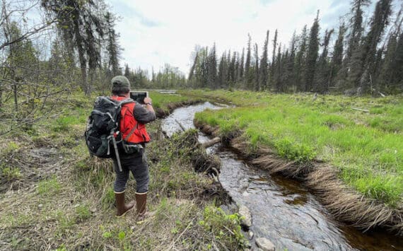 Wetlands are surveyed by the Kachemak Heritage Land Trust. (Photo provided by the Kachemak Heritage Land Trust)