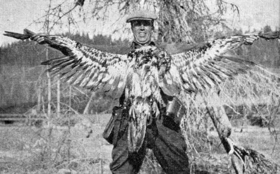 This photo of Warren Melville Nutter, holding a dead juvenile bald eagle that he shot for the bounty, appeared in the May 1938 edition of The Alaska Sportsman Magazine. The photo was probably taken near the mouth of Hidden Creek on Skilak Lake.