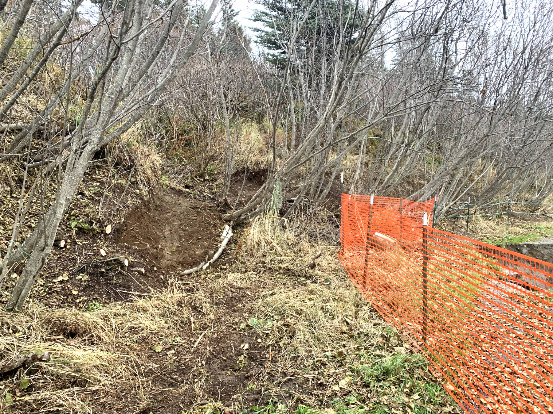 The Diamond Creek Trail, located approximately 4 miles north of Homer, Alaska, reopened for public use as of an announcement on Wednesday, Oct. 23, 2024. Photo by Eric Clarke