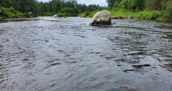 The Anchor River flows in the Anchor Point State Recreation Area on Saturday, Aug. 5, 2023, in Anchor Point, Alaska. (Delcenia Cosman/Homer News)