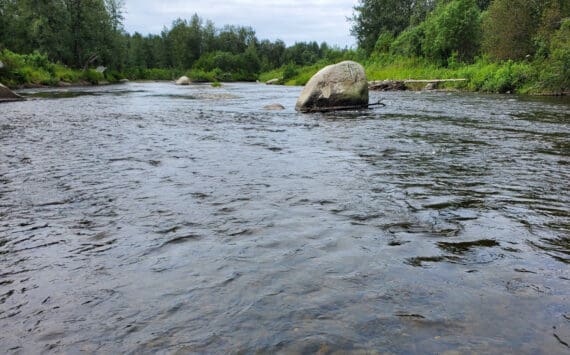 The Anchor River flows in the Anchor Point State Recreation Area on Saturday, Aug. 5, 2023, in Anchor Point, Alaska. (Delcenia Cosman/Homer News)