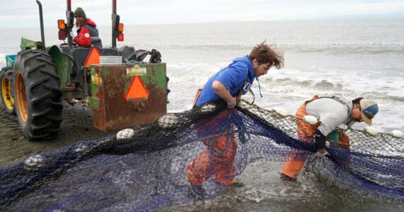 Lisa Gabriel, left, watches as beach seine nets are pulled from the waters of Cook Inlet at a test site for the gear near Kenai, Alaska, on Tuesday, July 30, 2024. (Jake Dye/Peninsula Clarion)