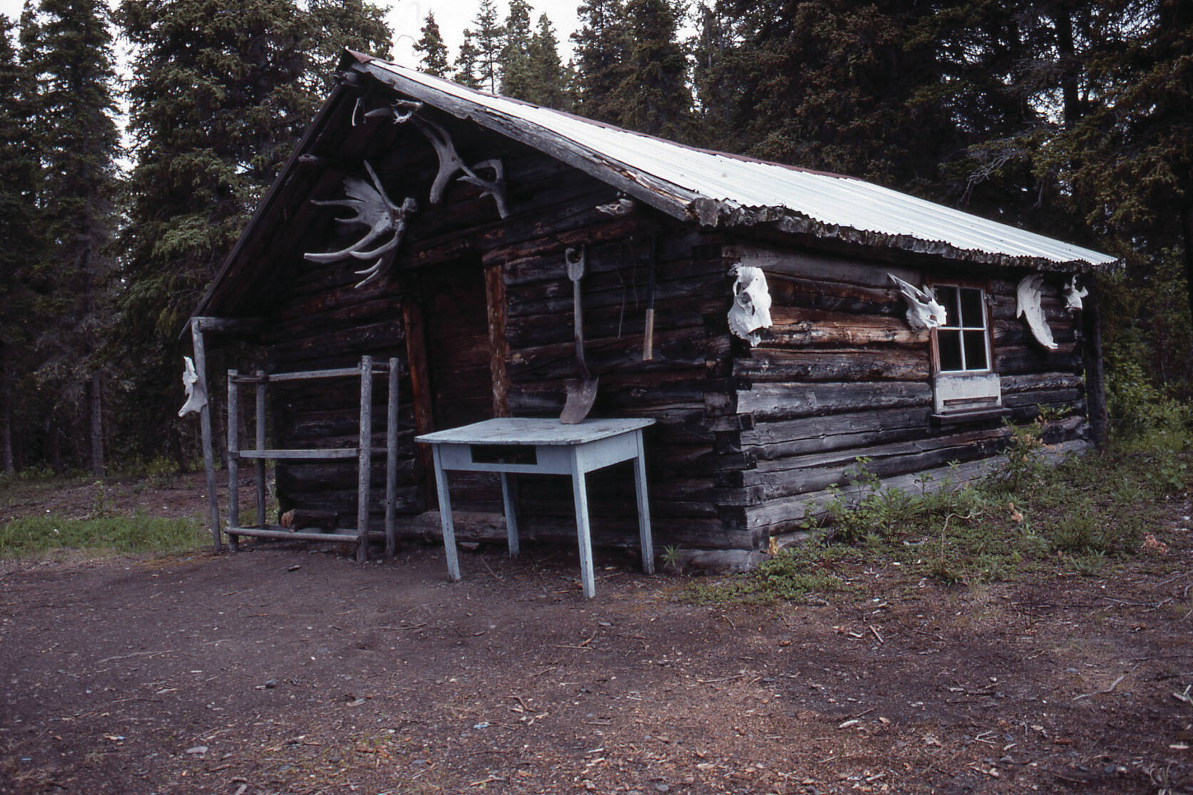 This is the cabin on Pipe Creek, along the north shore of Tustumena Lake, where Harold Galliett sought shelter after surviving a commercial airlines crash in the lake in September 1965. (Photo by Clark Fair, 1990)