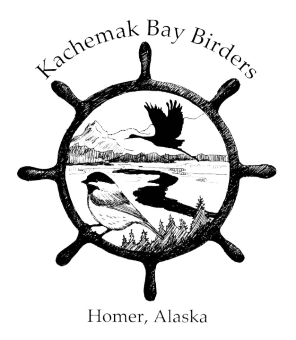 Logo for Kachemak Bay Birders. Photo courtesy of Kachemak Bay Birders