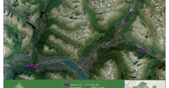 A map shows the areas, in purple and brown, where spruce beetle mitigation is planned. (Provided by U.S. Forest Service)