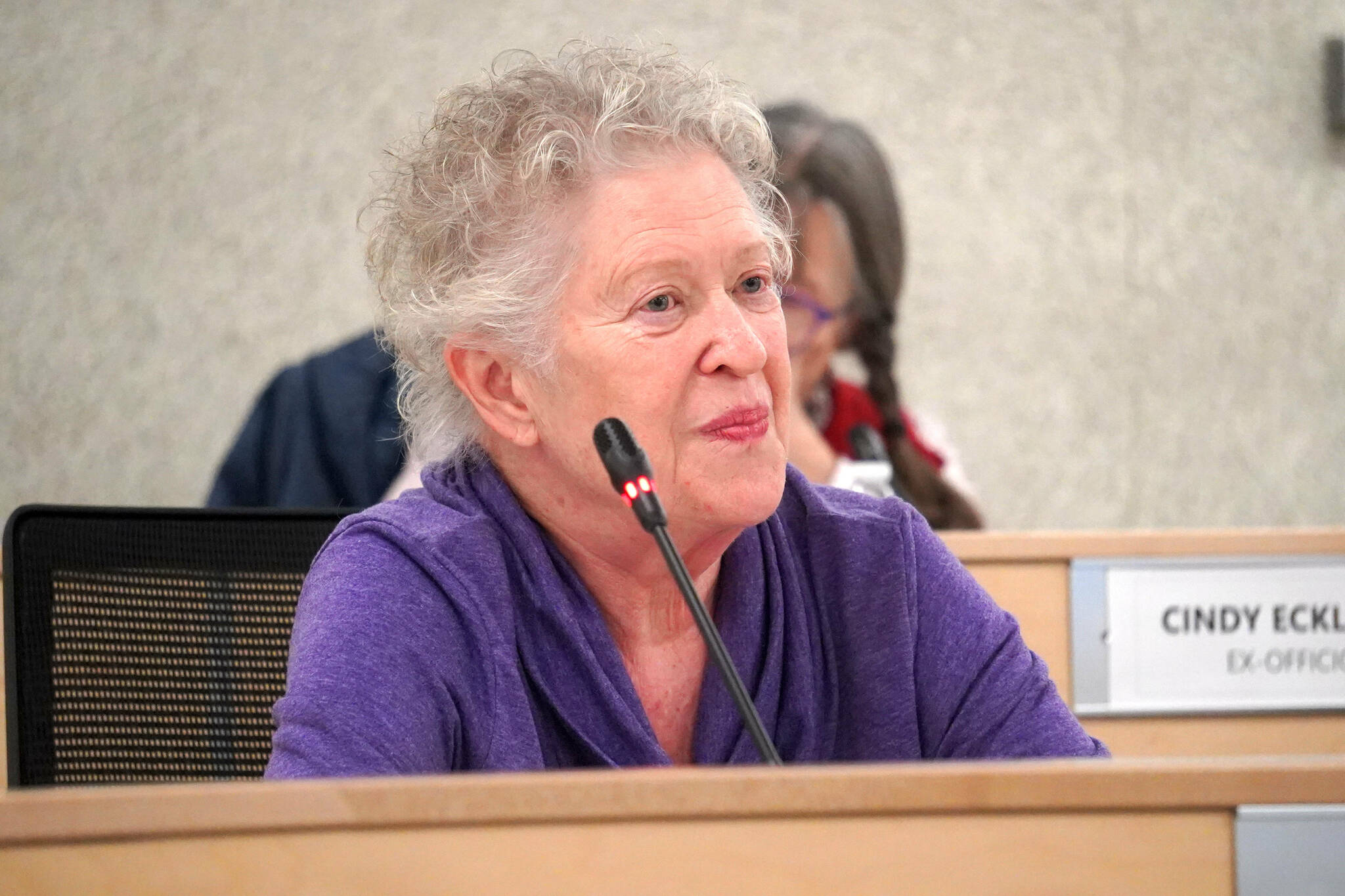 Member Donna Hall speaks during a meeting of the Kenai Peninsula Borough Tourism Industry Working Group in Soldotna, Alaska, on Wednesday, Dec. 18, 2024. (Jake Dye/Peninsula Clarion)