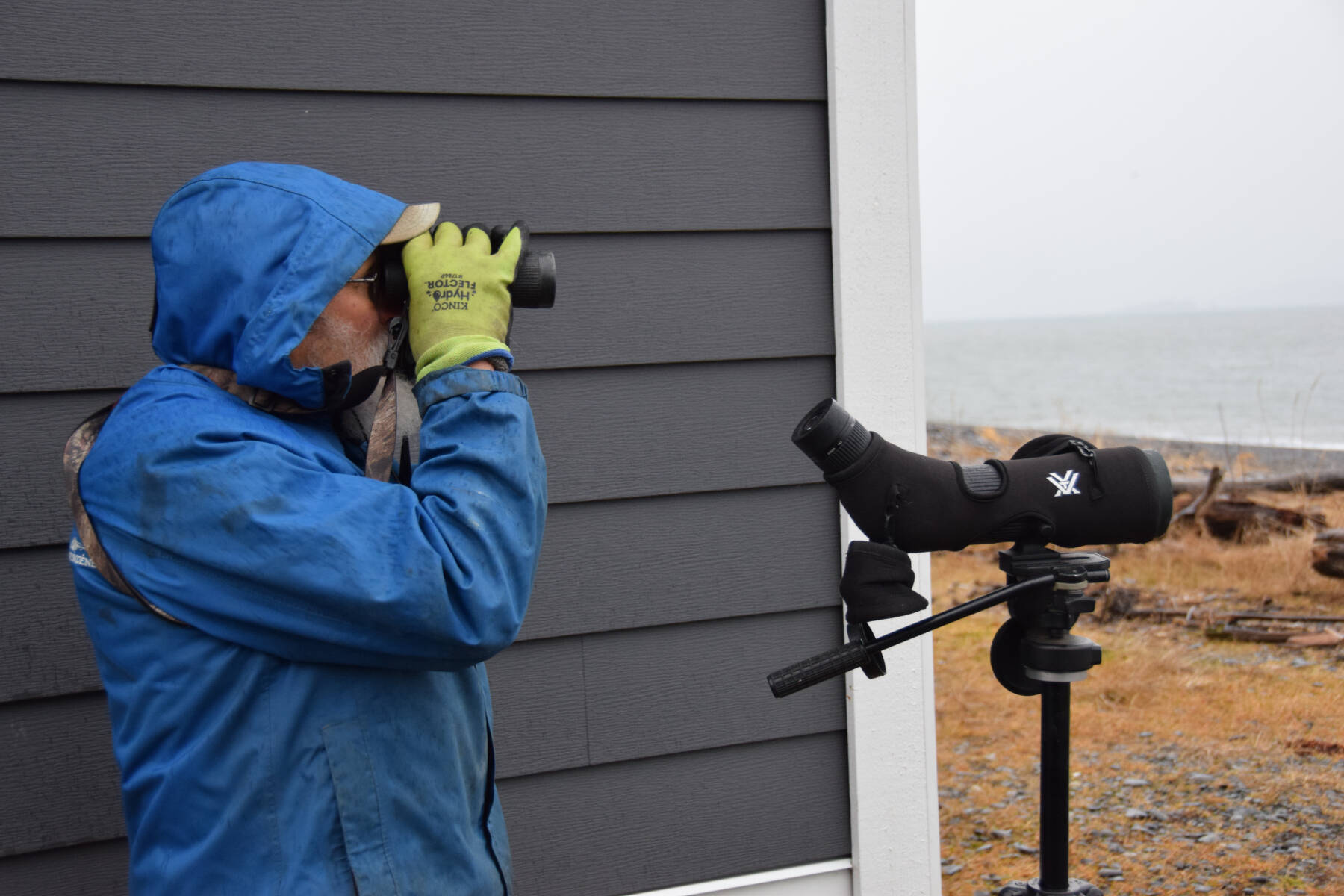 Kachemak Bay Birders member Gary Lyon watches for birds near the Land’s End Resort condos on the Homer Spit during the Christmas Bird Count count day on Saturday, Dec. 21, 2024, in Homer, Alaska. (Delcenia Cosman/Homer News)