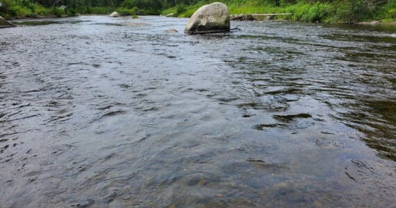 The Anchor River flows in the Anchor Point State Recreation Area on Saturday, Aug. 5, 2023 in Anchor Point, Alaska. (Delcenia Cosman/Homer News)