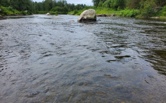 The Anchor River flows in the Anchor Point State Recreation Area on Saturday, Aug. 5, 2023 in Anchor Point, Alaska. (Delcenia Cosman/Homer News)